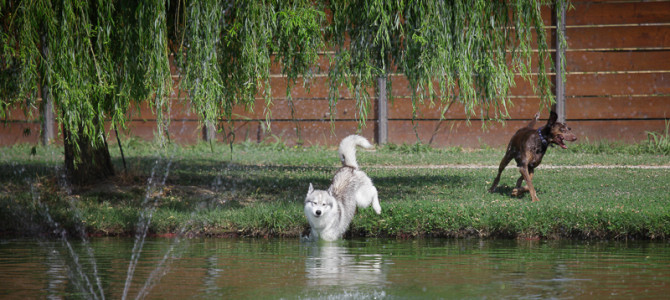 parco giochi 02